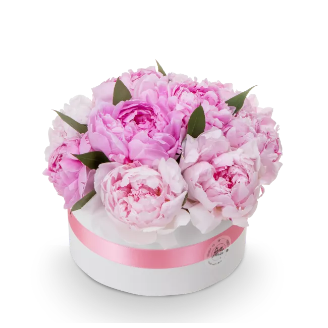 Box růžových pivoněk